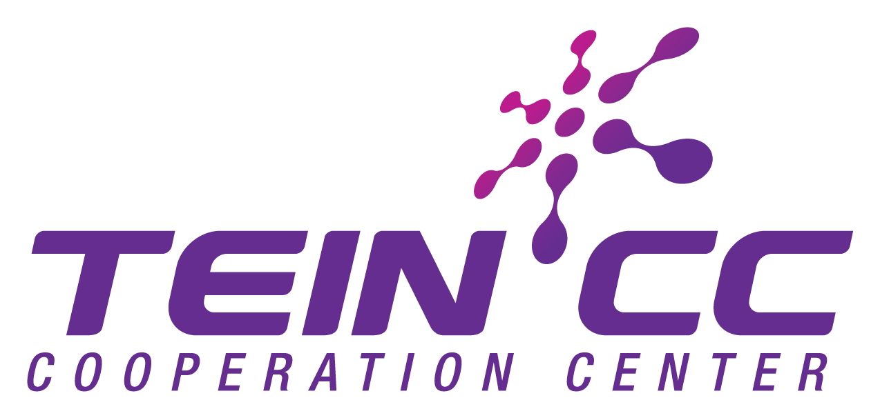 TEIN*CC Logo